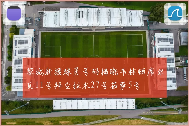 蓉城新援球员号码揭晓韦林顿席尔瓦11号拜合拉木27号茹萨5号
